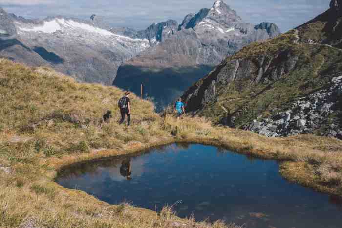 Inspiring vacations nz