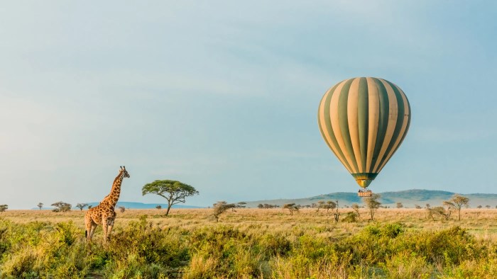 Inspiring vacations africa reviews