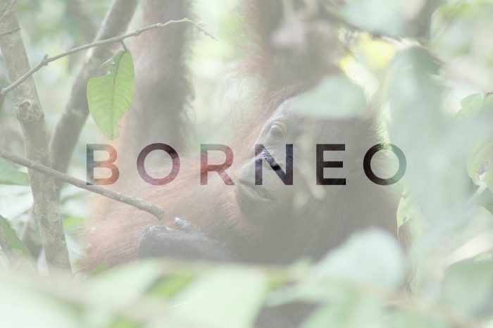 Borneo paysage sabah eau malaisie Inspiring vacations borneo