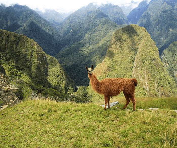 Inspiring vacations south america
