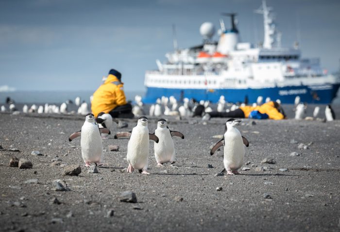Inspiring vacations antarctica