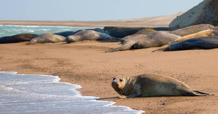 Inspiring vacations south america reviews