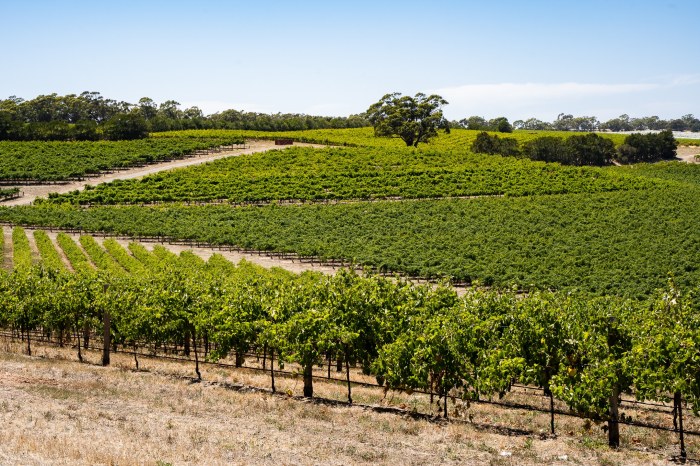 Inspiring vacations adelaide